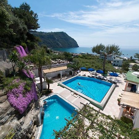 Hotel Villa Bianca Forio (Isola d'Ischia) Exterior foto